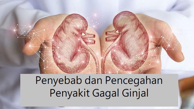 Bahaya Penyakit Gagal Ginjal