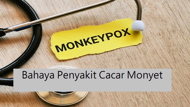 Waspada Bahaya Penyakit Cacar Monyet